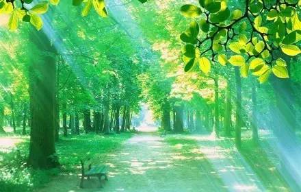 大度看人生，从容过日子