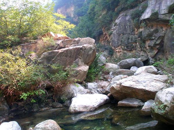 生命的每一天,自在的过 生命的每一天,自在的过