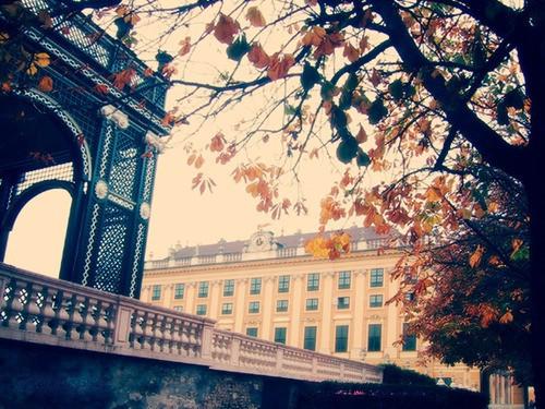 精辟透彻到毒辣的人生经典语录