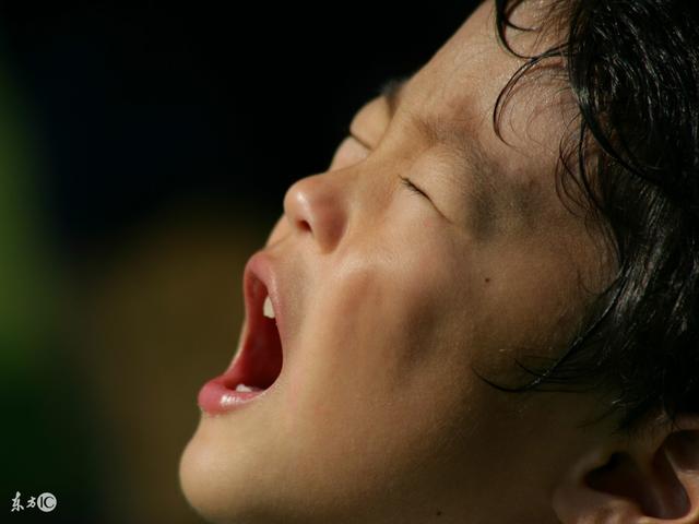 周国平:醉无用之酒,钟无用之情 周国平:醉无用之酒,钟无用之情