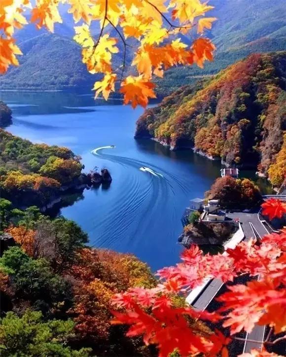 谦虚是姿态，宽容是美德