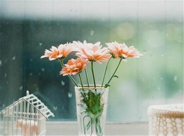 微信里那些说到心坎的一句话经典语录 微信里那些说到心坎的一句话经典语录