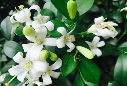 唯美经典人生的哲理语录配图