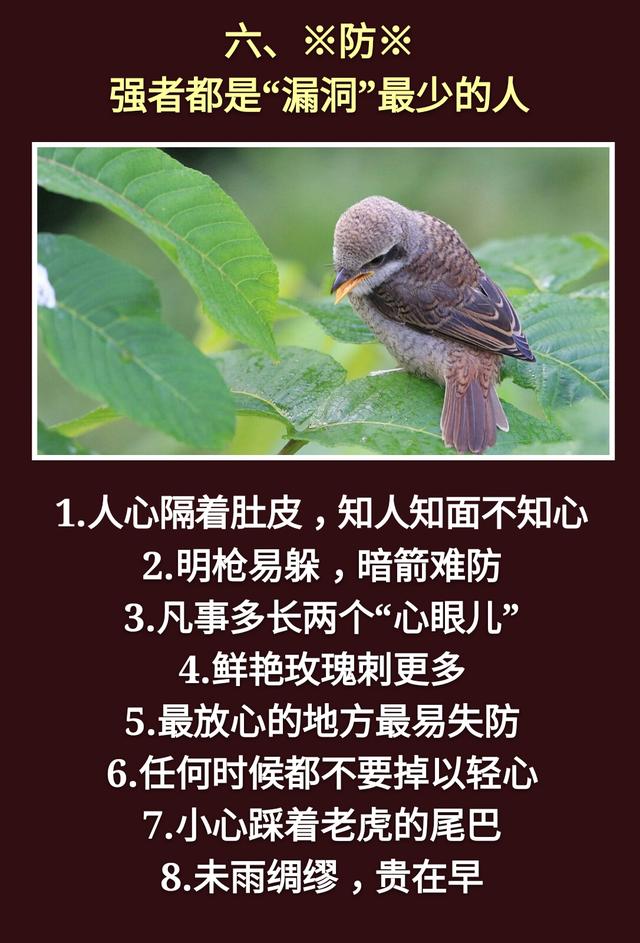 为人处事：一孝，二忍，三稳，四藏，五变，六防，七退