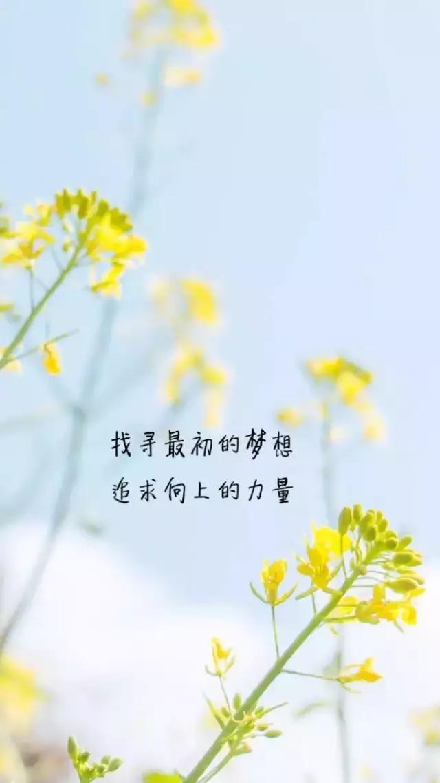 大胆一点，反正你只活一次