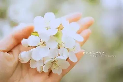 做一个平常老百姓，挺好