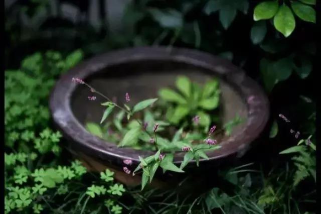 从前琴棋书画诗酒花，而今柴米油盐酱醋茶