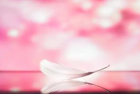 不求完美，但求无悔