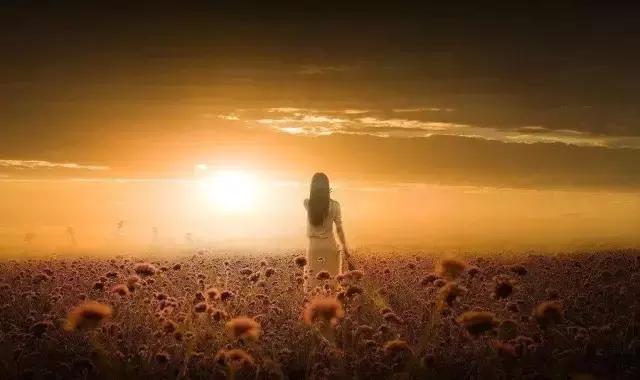 所有的相逢，都是命中注定