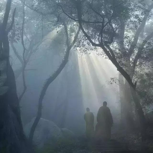 人与人虚一点有趣，太虚就没意思了