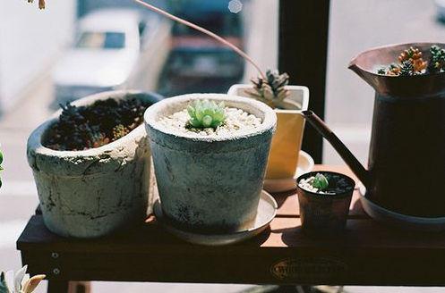 生命不长，不能用来悲伤