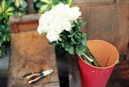 懂得是一种难言的柔情，入心入肺