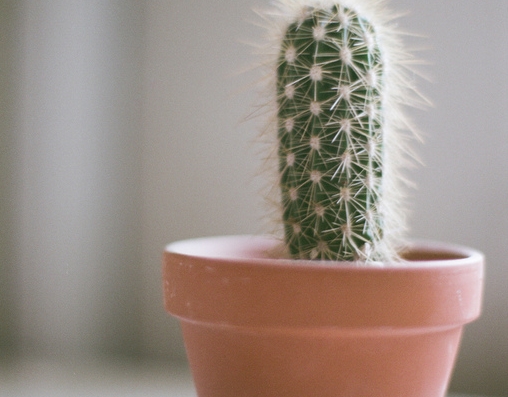 青春唯美动人的说说语录赏析