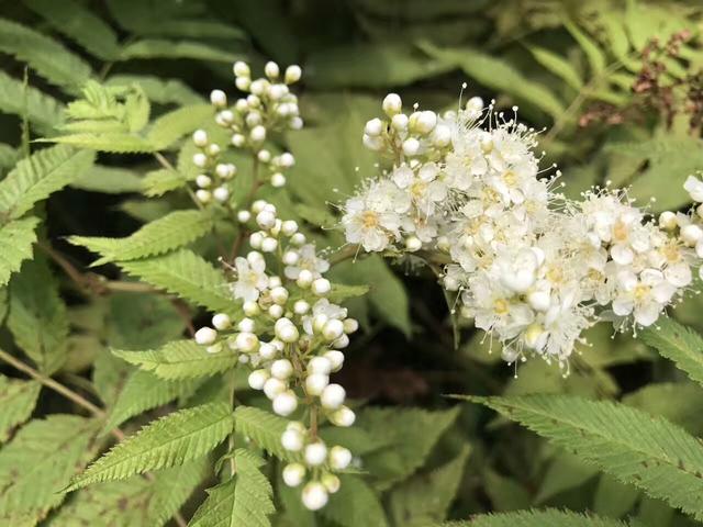 快乐，是幸福感的源头