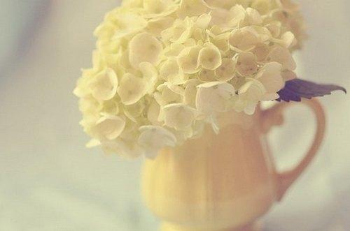 朋友圈里最火的人生感悟语录