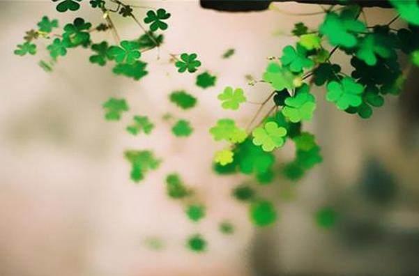 木心论事毋涉私心意气谓之谦