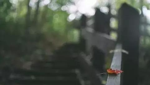 有情商的善良