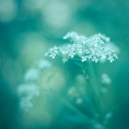 九句精选微信朋友圈语录