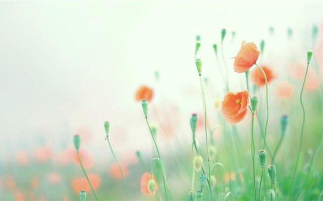 一句话最经典的人生哲理语录