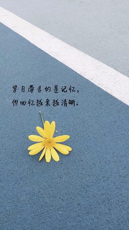 越是试着忘记，越是记得深刻