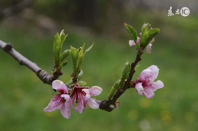 做人，不要自作聪明