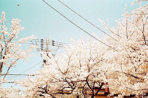 微信朋友圈女生伤感图片说说语录