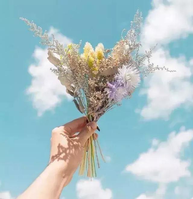 你若为我付出，我绝对不会辜负
