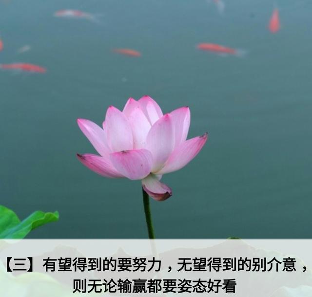 人生应该谨记的金言