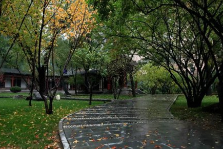 懂得是一种难言的柔情，入心入肺