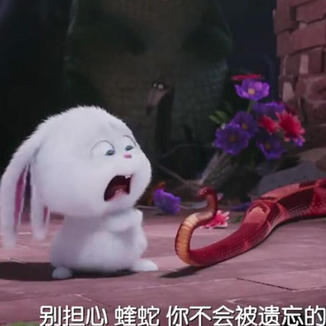 经典搞笑语录，这鸡汤有毒