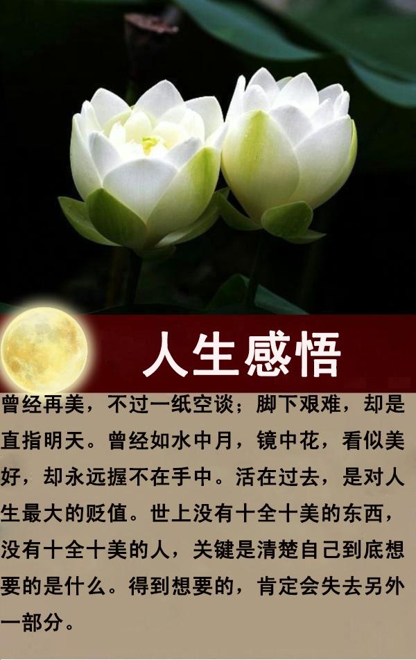 每天一点正能量，感悟生命，感谢生活