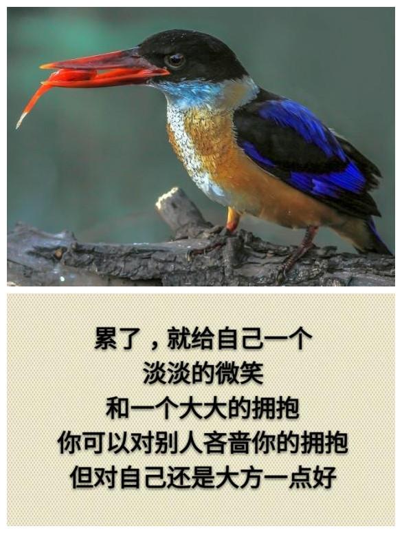你累吗？（累就看看）
