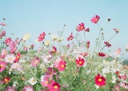 结婚从来都不是一种保障，而是一种信赖