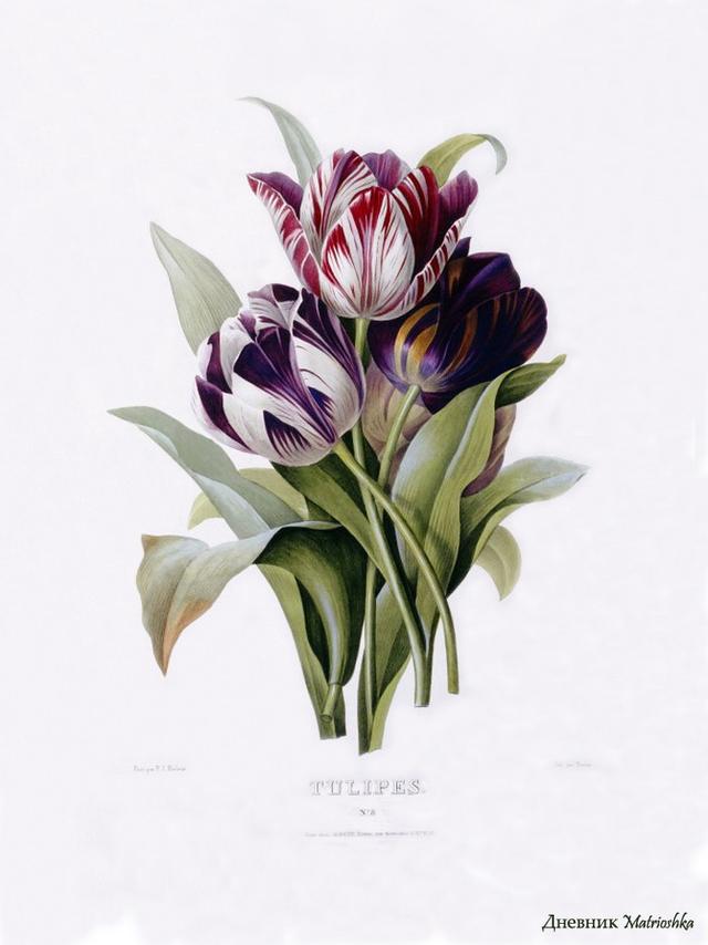 精辟到噎死人的经典语录,透彻至极 精辟到噎死人的经典语录,透彻至极