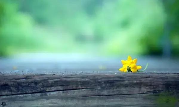 明天开始,善待身边每一个人 明天开始,善待身边每一个人