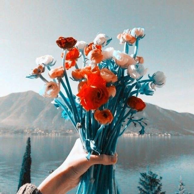 朋友圈正能量语录，值得收藏