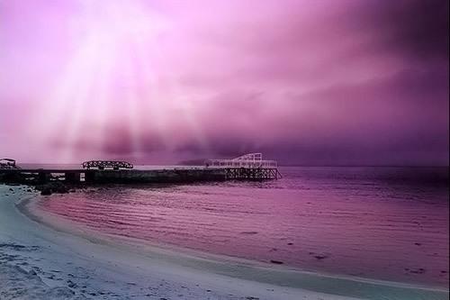 小清新温馨的爱情语录