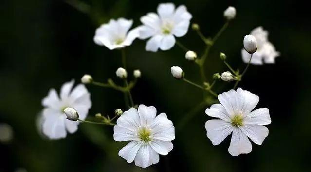 真正的放弃并不会张扬而是慢慢不联系 真正的放弃并不会张扬而是慢慢不联系