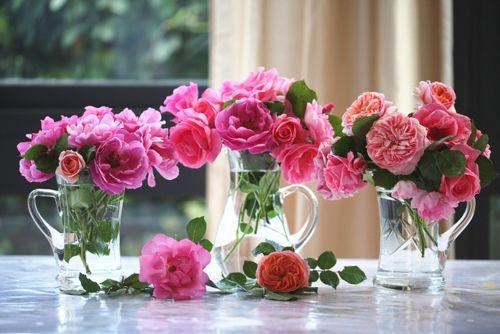 微信里最温馨唯美的爱情语录