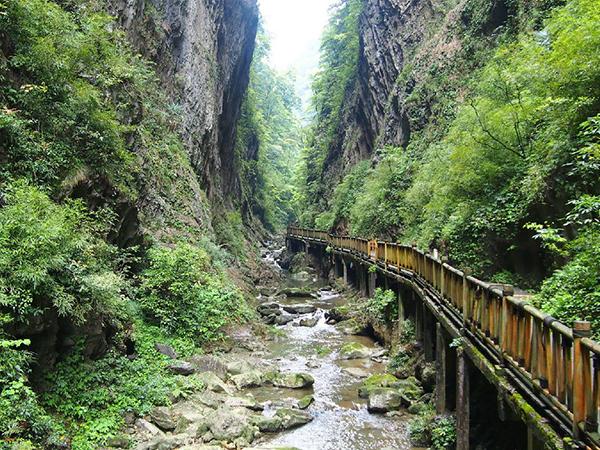 生命的每一天,自在的过 生命的每一天,自在的过