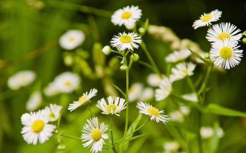 张小娴的经典爱情语录，哪一句说到你心坎上