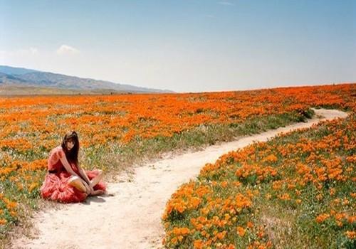 句句经典的人生哲理语录