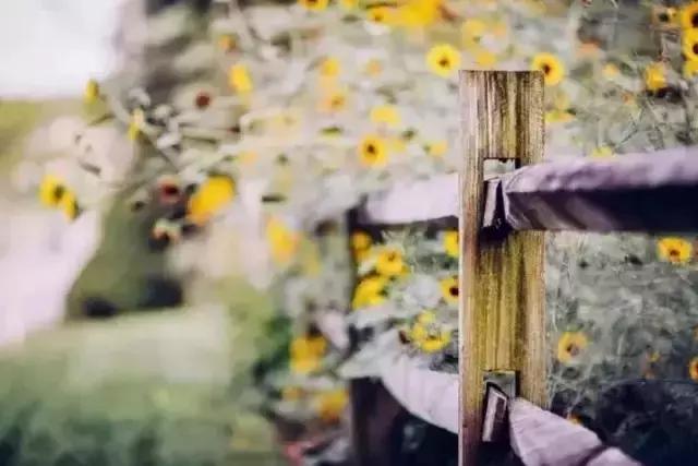 人生路上五句话 人生路上五句话