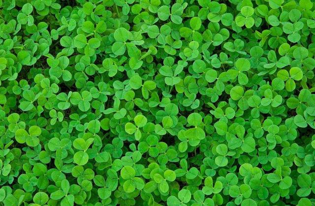 学会放弃，不是放屁（精辟）