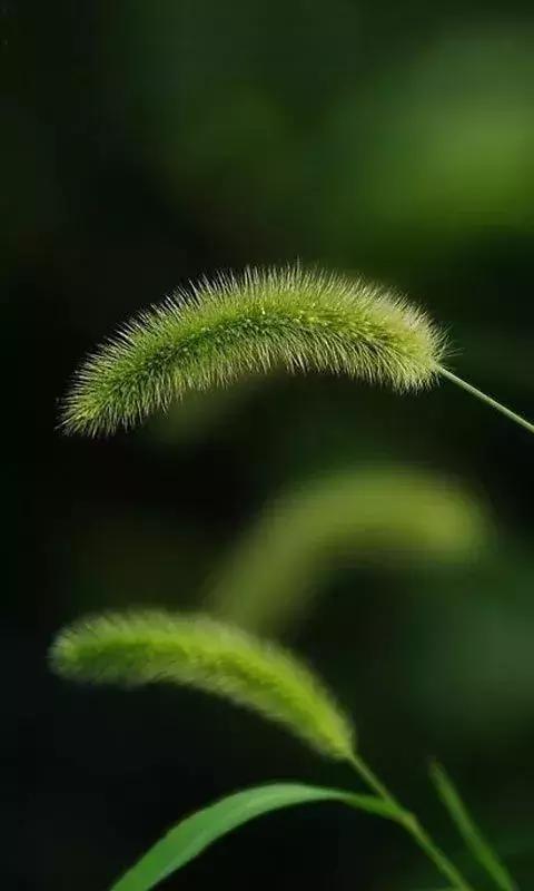 淡看离合，不语悲喜