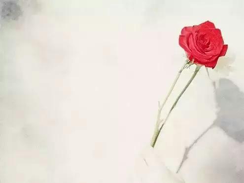 友谊（美文）