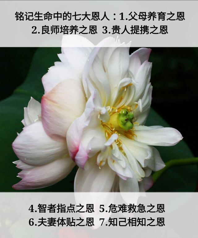人生：7层次，7道坎，7恩人，7觉悟，7境界