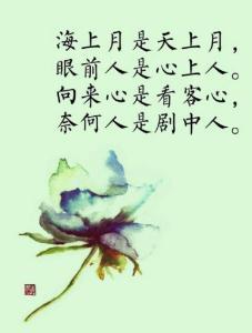 那些好评如潮的经典台词语录