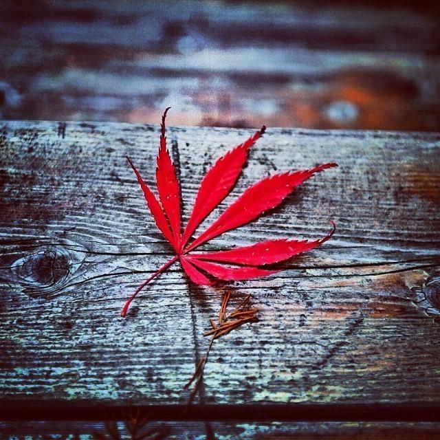 超经典的微信语录