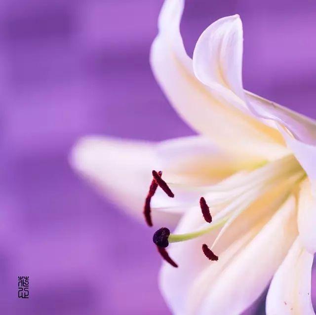 生命中的感谢，真美